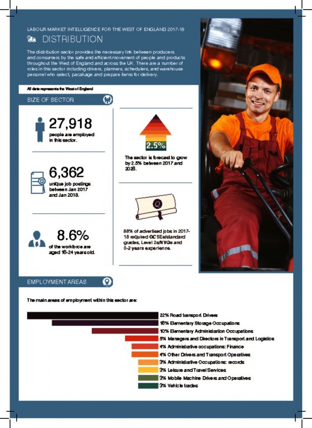 thumbnail of Distribution_-_Sector_Guide